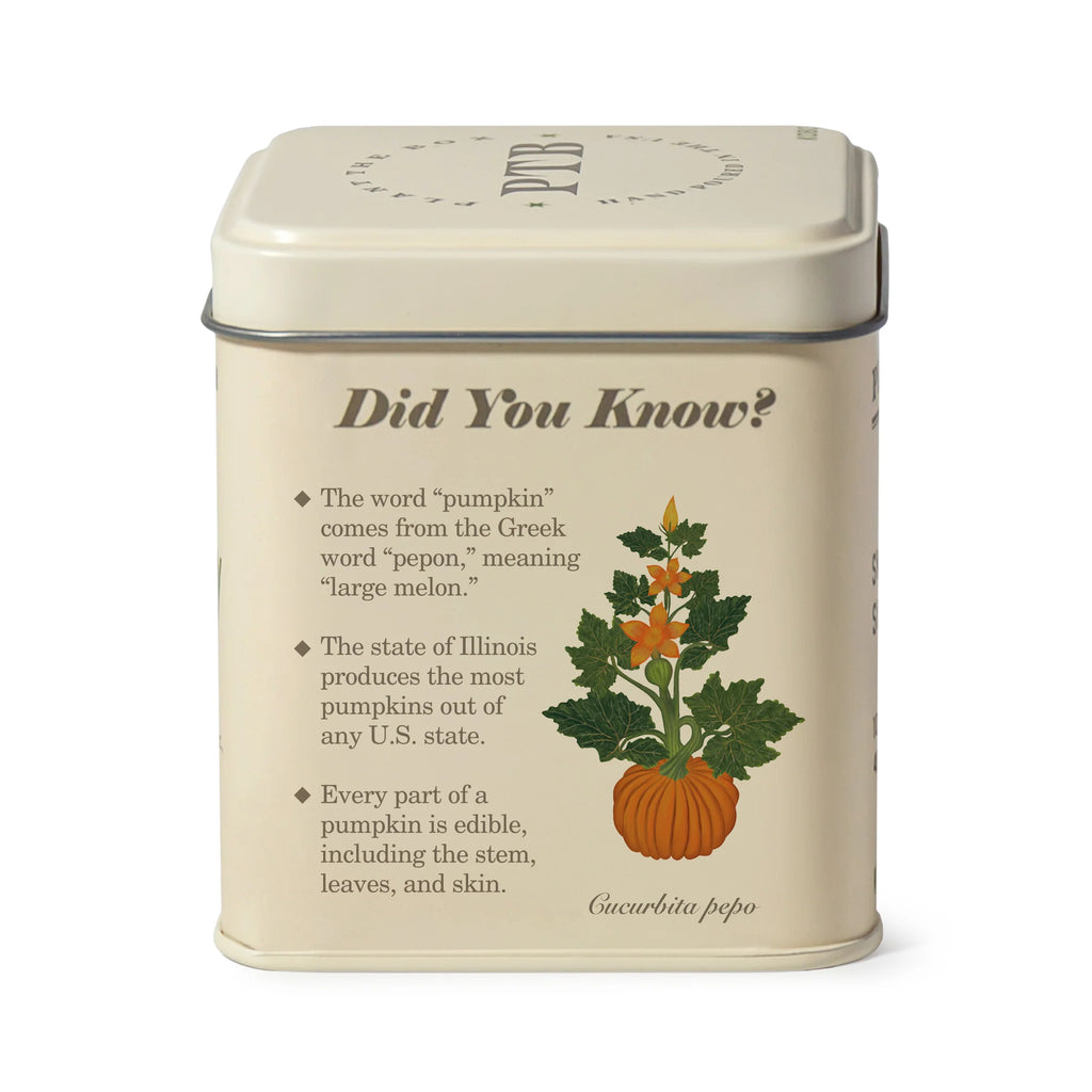 KOBO Candles- Half Moon Pumpkin Plant The Box Tin Candle