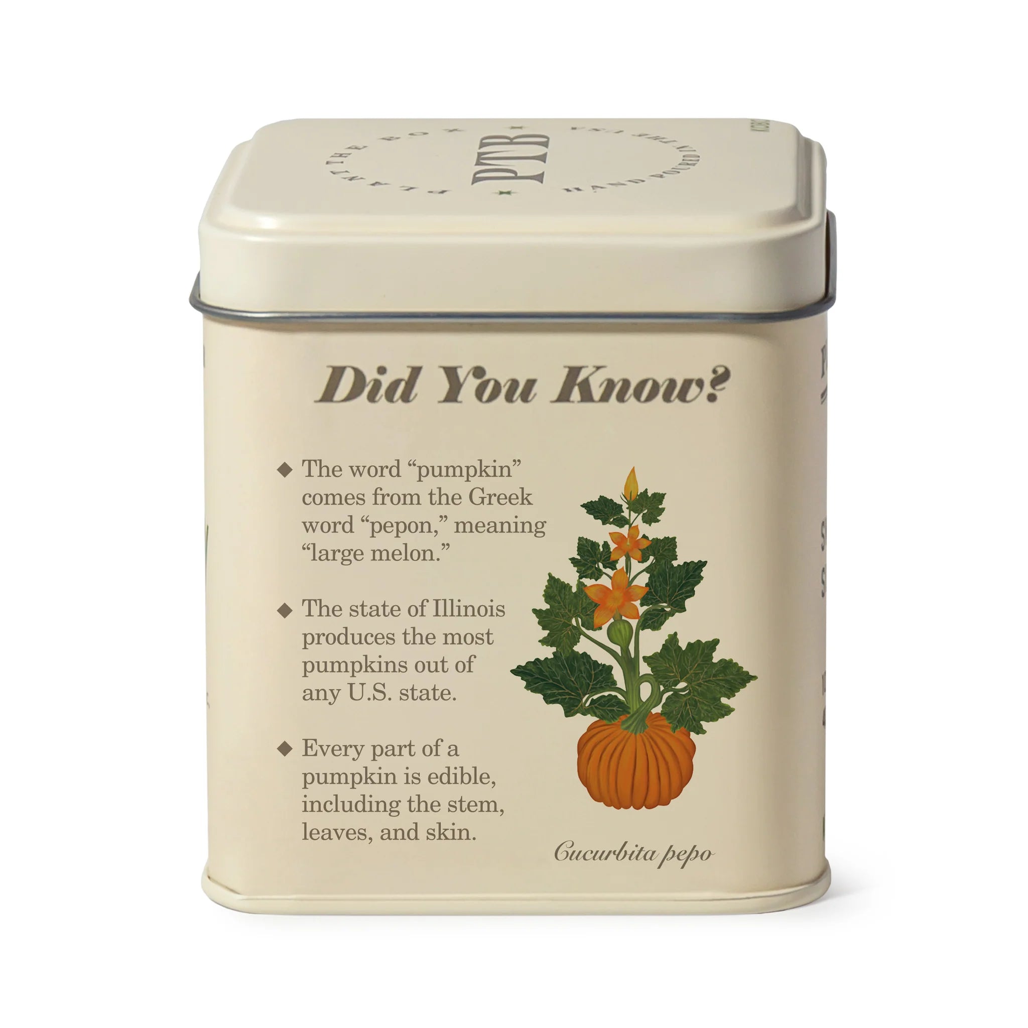 KOBO Candles- Half Moon Pumpkin Plant The Box Tin Candle
