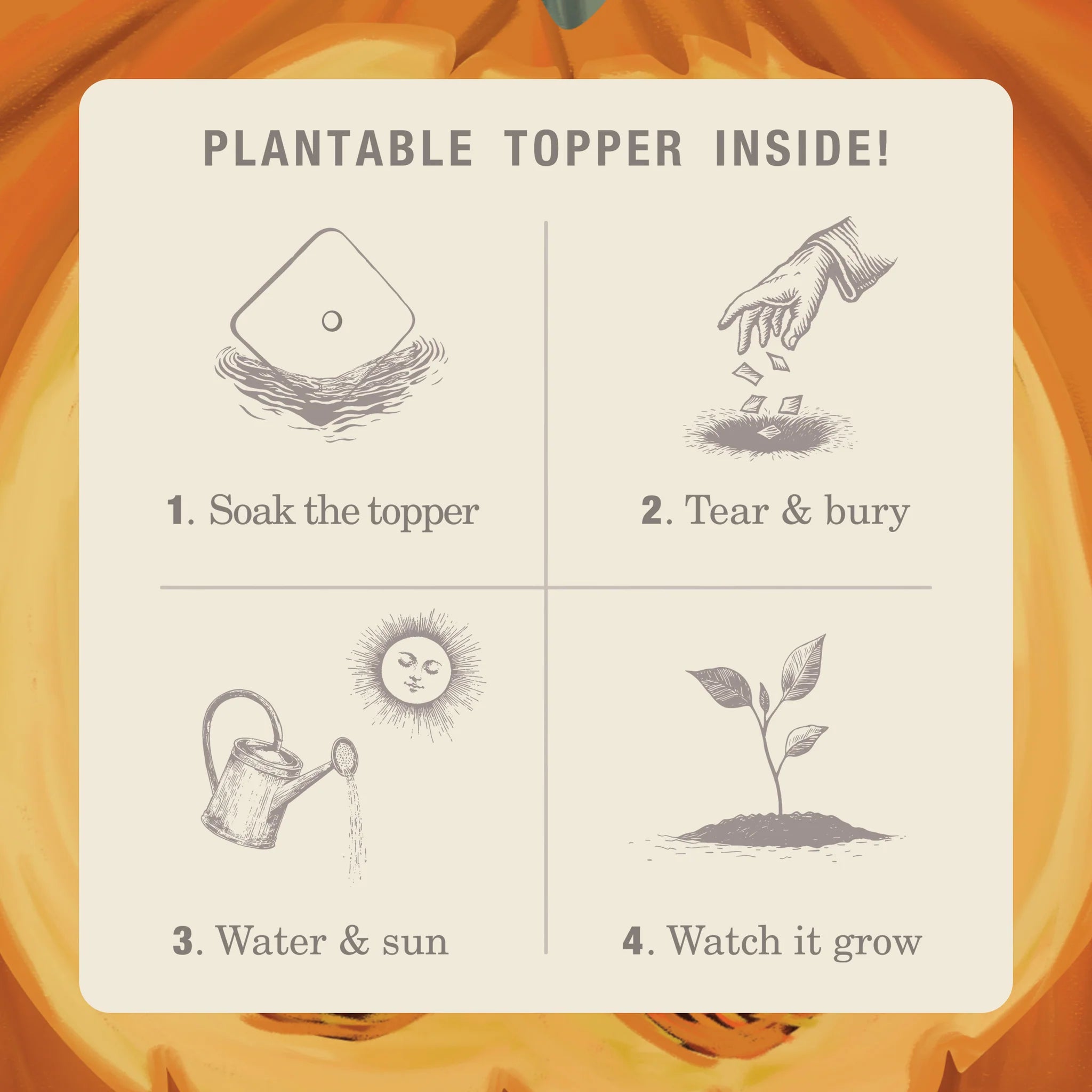 KOBO Candles- Half Moon Pumpkin Plant The Box Tin Candle