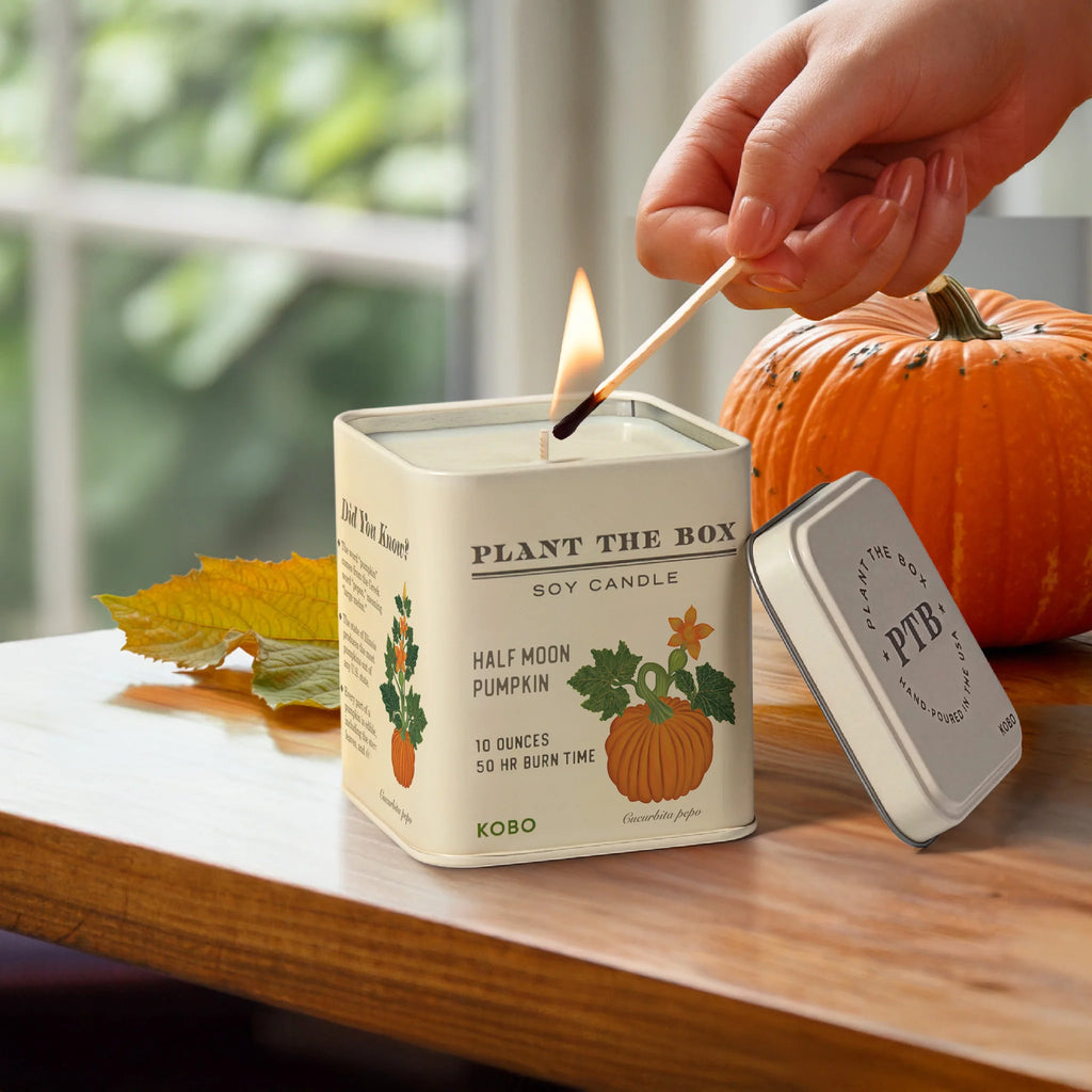 KOBO Candles- Half Moon Pumpkin Plant The Box Tin Candle