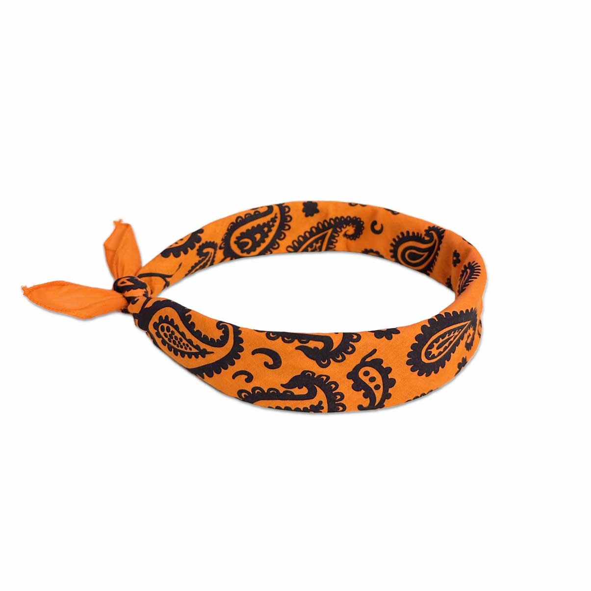 Mister Bandana- Paisley Supernova Bandana