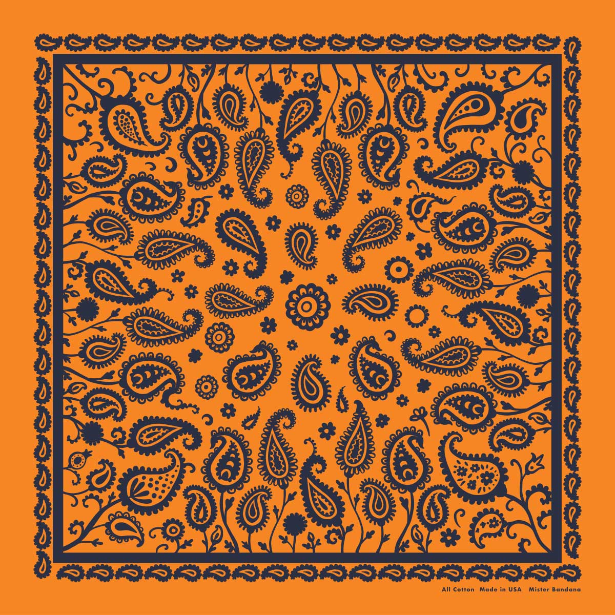 Mister Bandana- Paisley Supernova Bandana