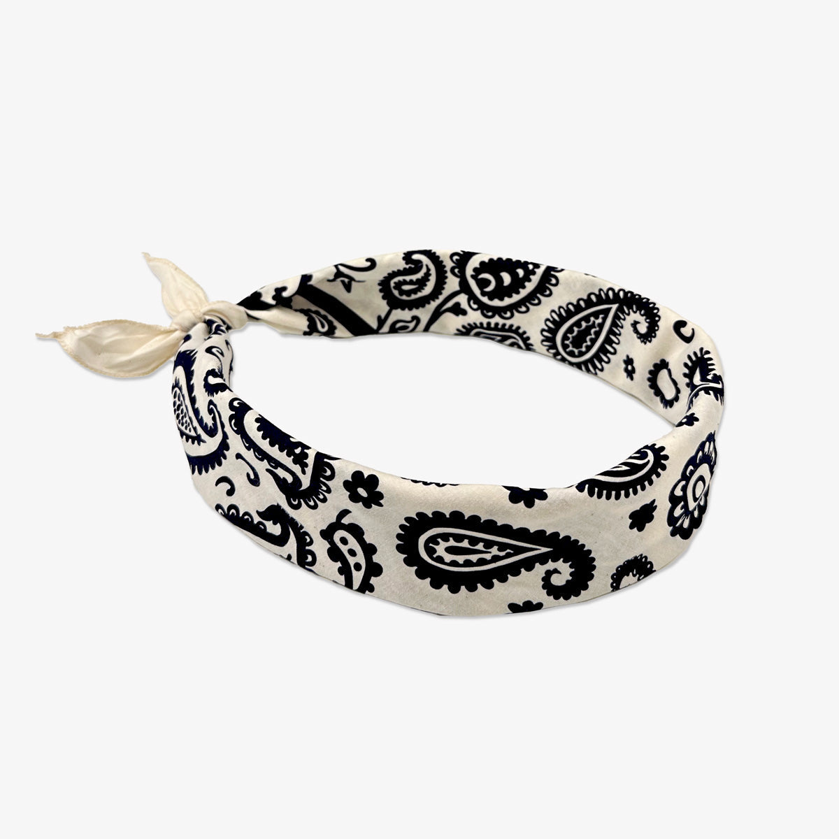 Mister Bandana- Paisley Supernova Bandana