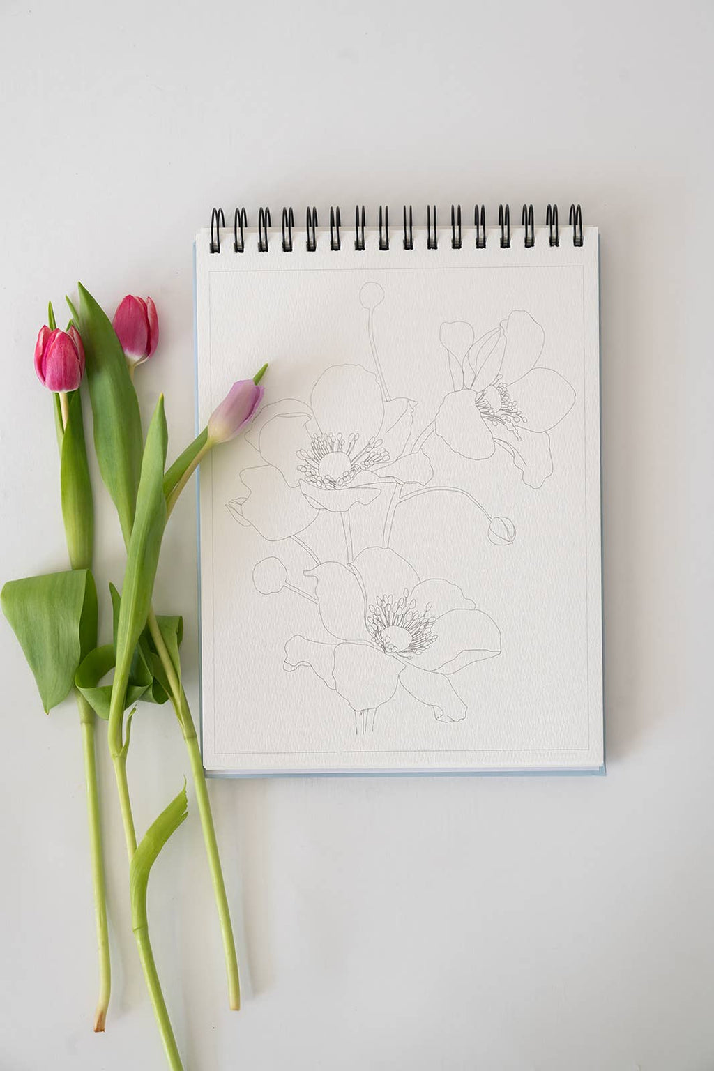 Bailey Rae Studio- Floral Watercoloring Book - Outlines with Video Tutorials