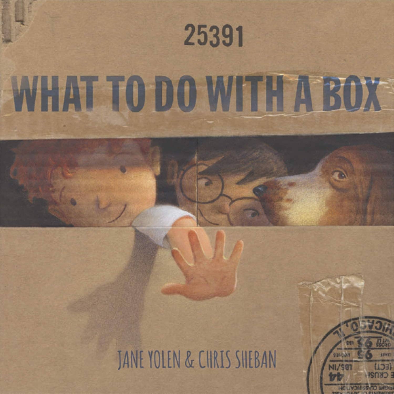 Chronicle Books- What To Do With a Box