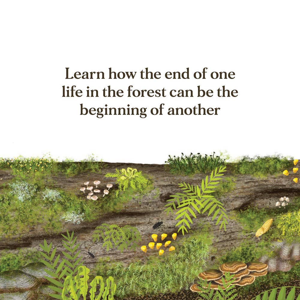 Chronicle Books- When a Tree Falls