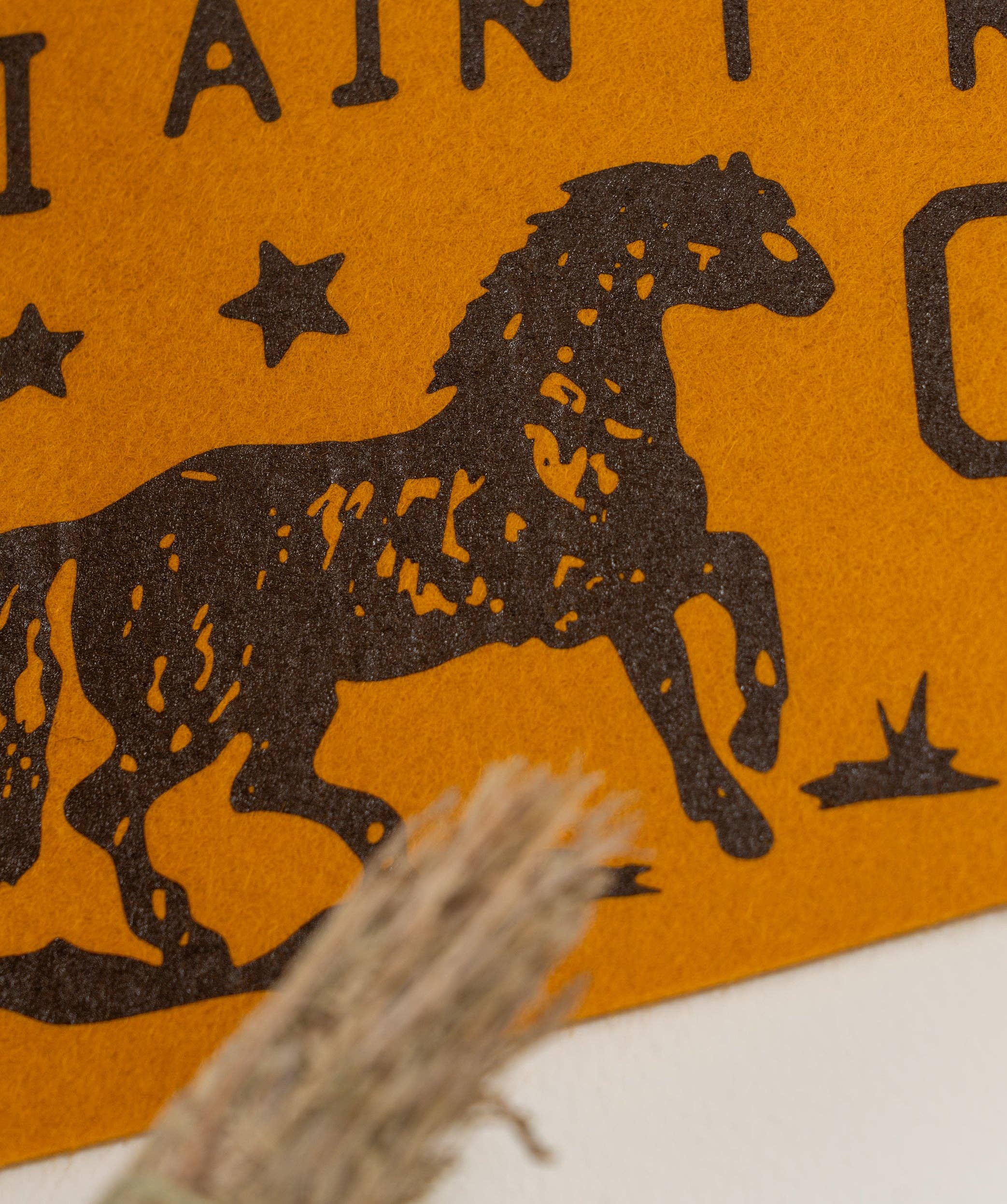 Oxford Pennant- I Ain't No Cowboy But I Can Ride Pennant • Jason Isbell x Oxford Pennant