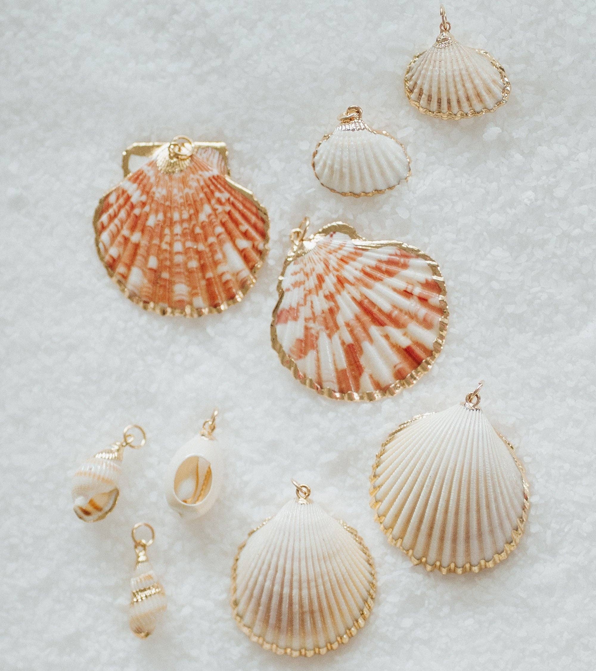 Reva Grey- Seashell Charms: Small White