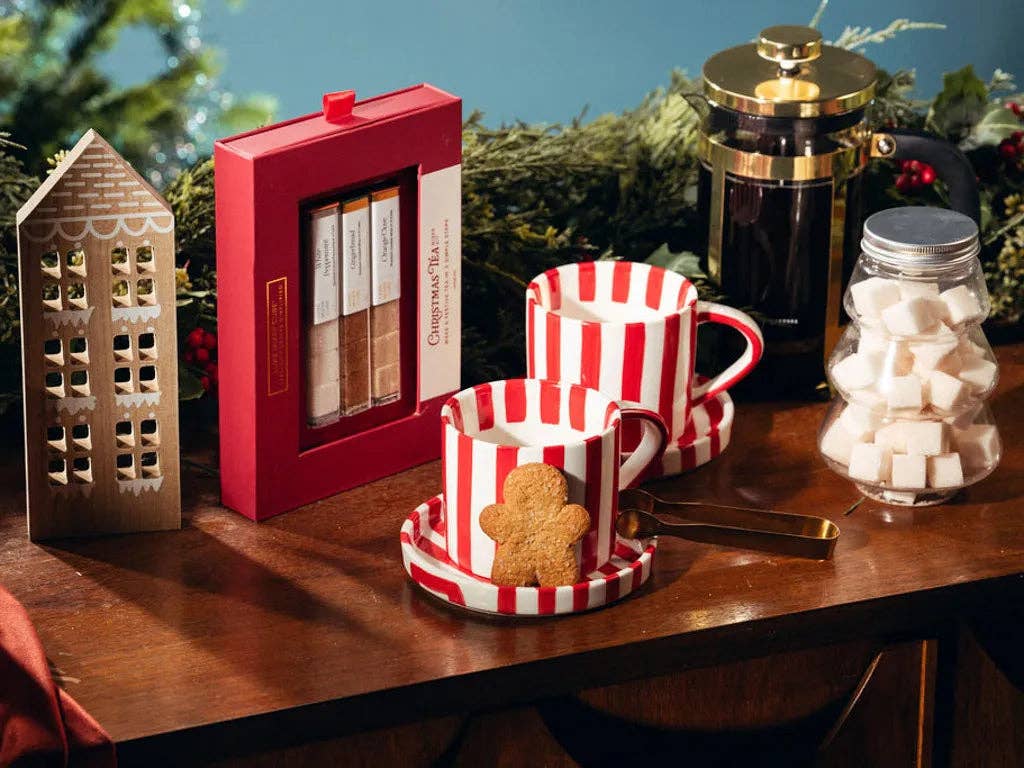 TEASPRESSA- Christmas Tea Mixer Kit, Peppermint & Gingerbread Cubes