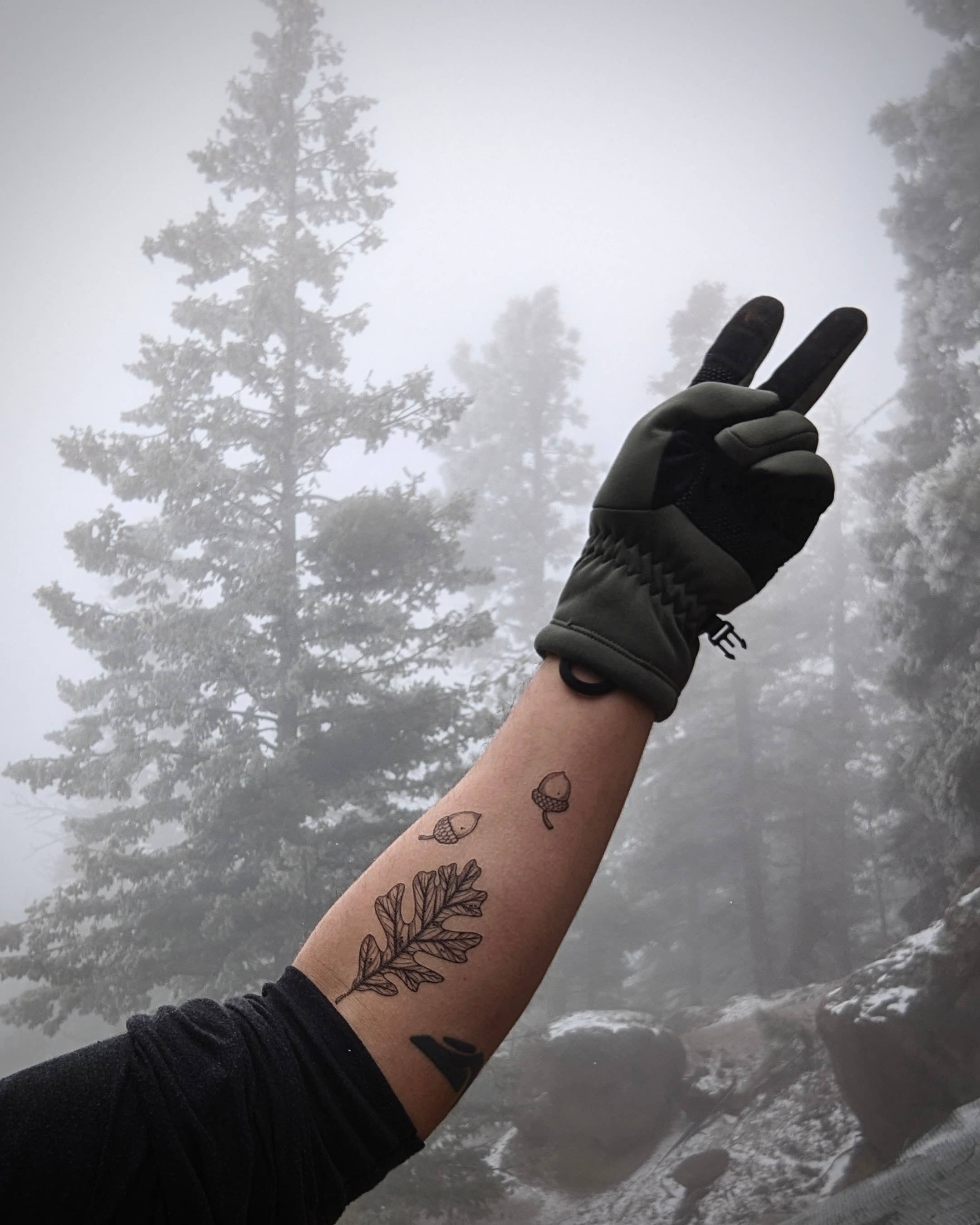 NatureTats- Acorn and Oak Leaves Temporary Tattoo