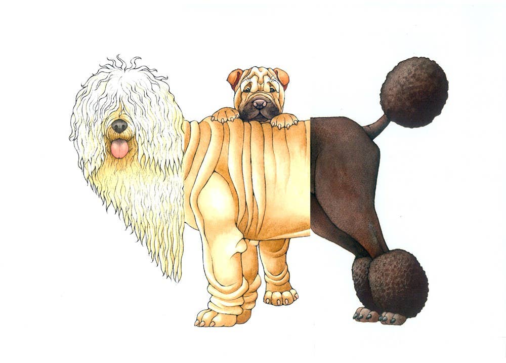 W. W. Norton- Mix-a-Mutt: Make Your Own Wacky Canine!: Board Book