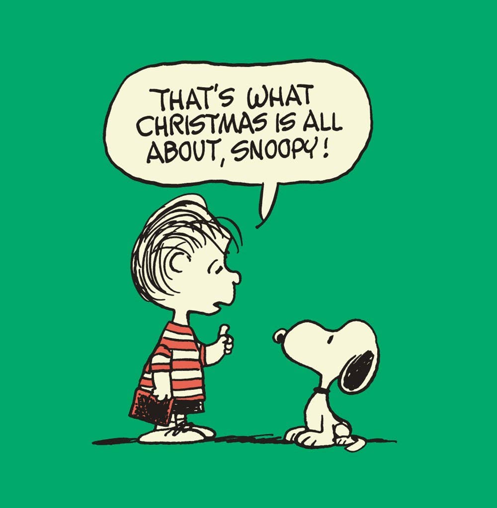 W. W. Norton- Charlie Brown's Christmas Stocking