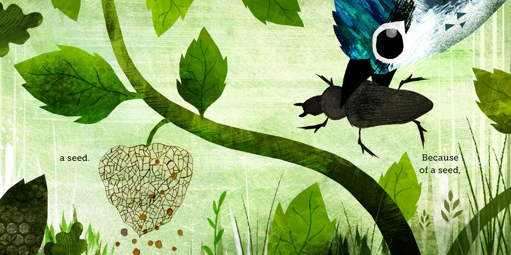 Chronicle Books- Because of an Acorn