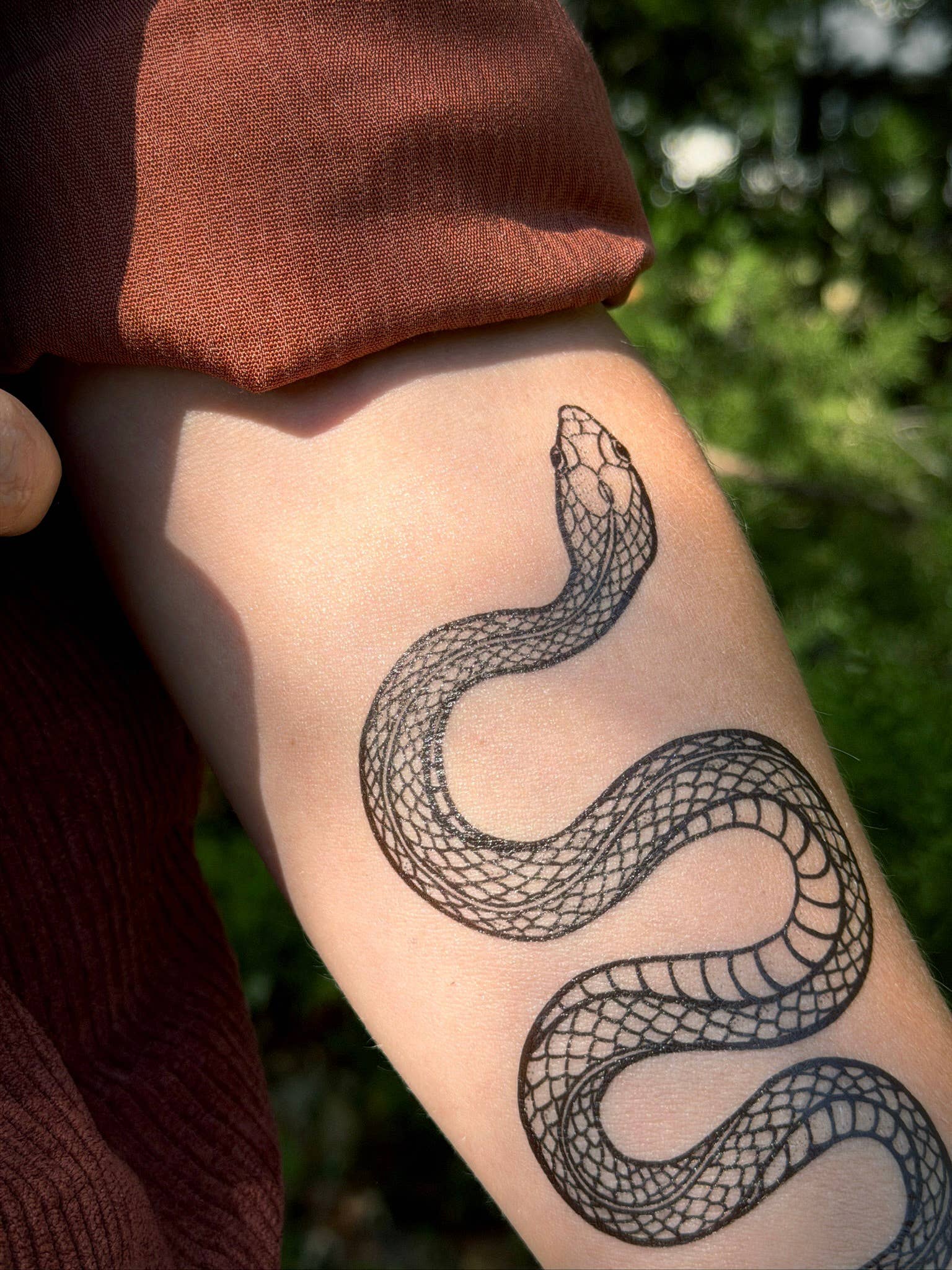 NatureTats- Garden Snake Temporary Tattoo