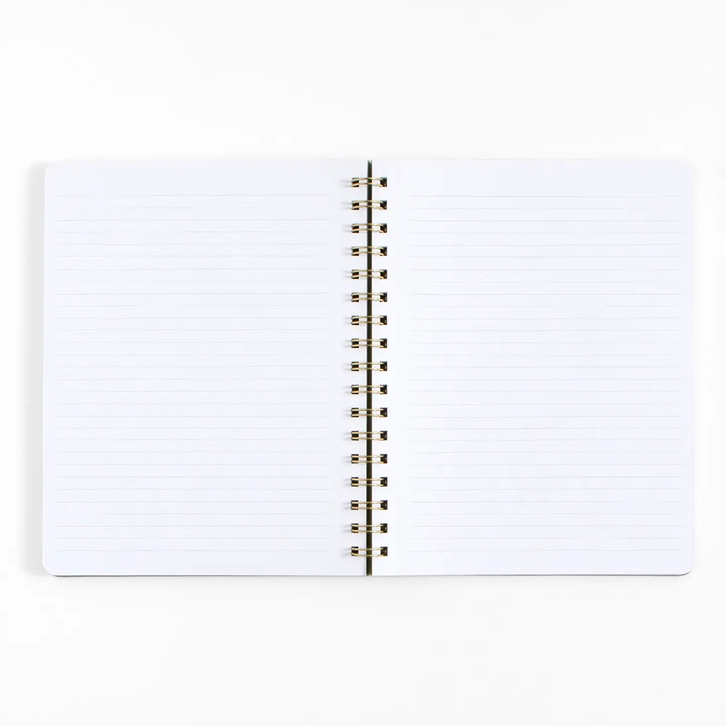 1Canoe2- Painted Sky Spiral Notebook