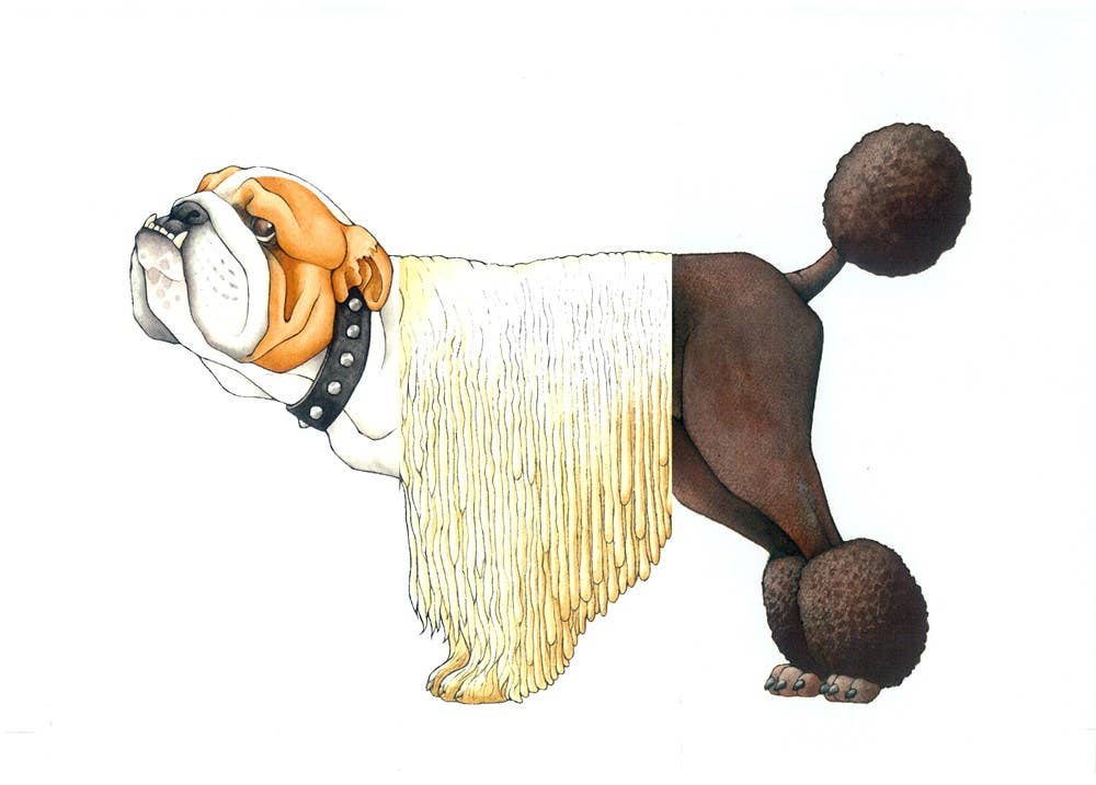 W. W. Norton- Mix-a-Mutt: Make Your Own Wacky Canine!: Board Book