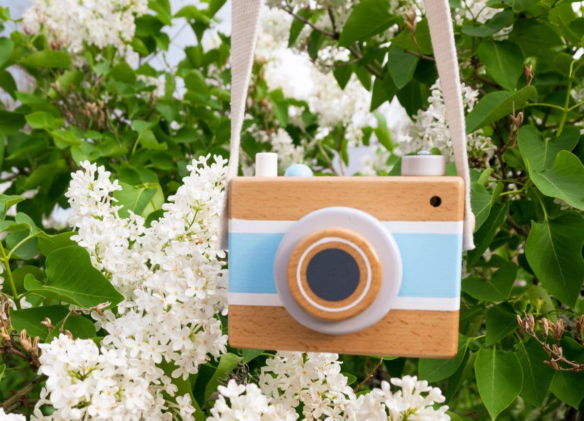 Jack Rabbit Creations- Vintage Camera Music Box - Blue
