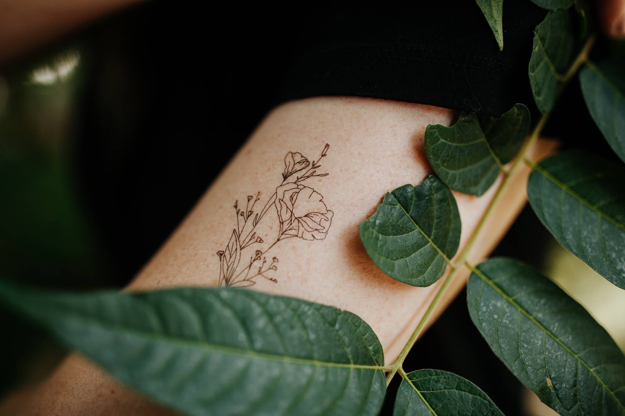Saint Tattoos- California Poppy Temporary Tattoos