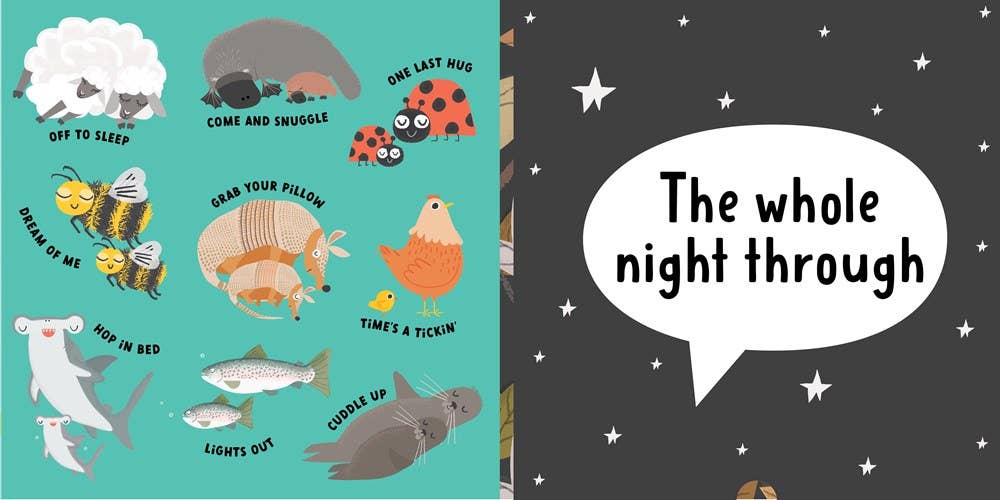 Gibbs Smith- Grab Your Pillow, Armadillo: A Silly Book of Fun Goodnights