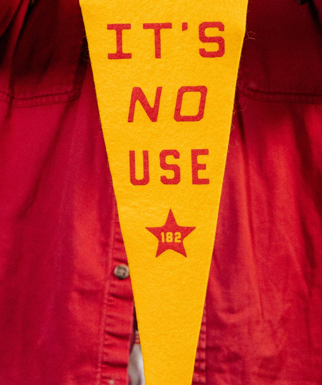 Oxford Pennant- We'll Never Give Up, It's No Use Pennant • blink-182 x Oxford Pennant