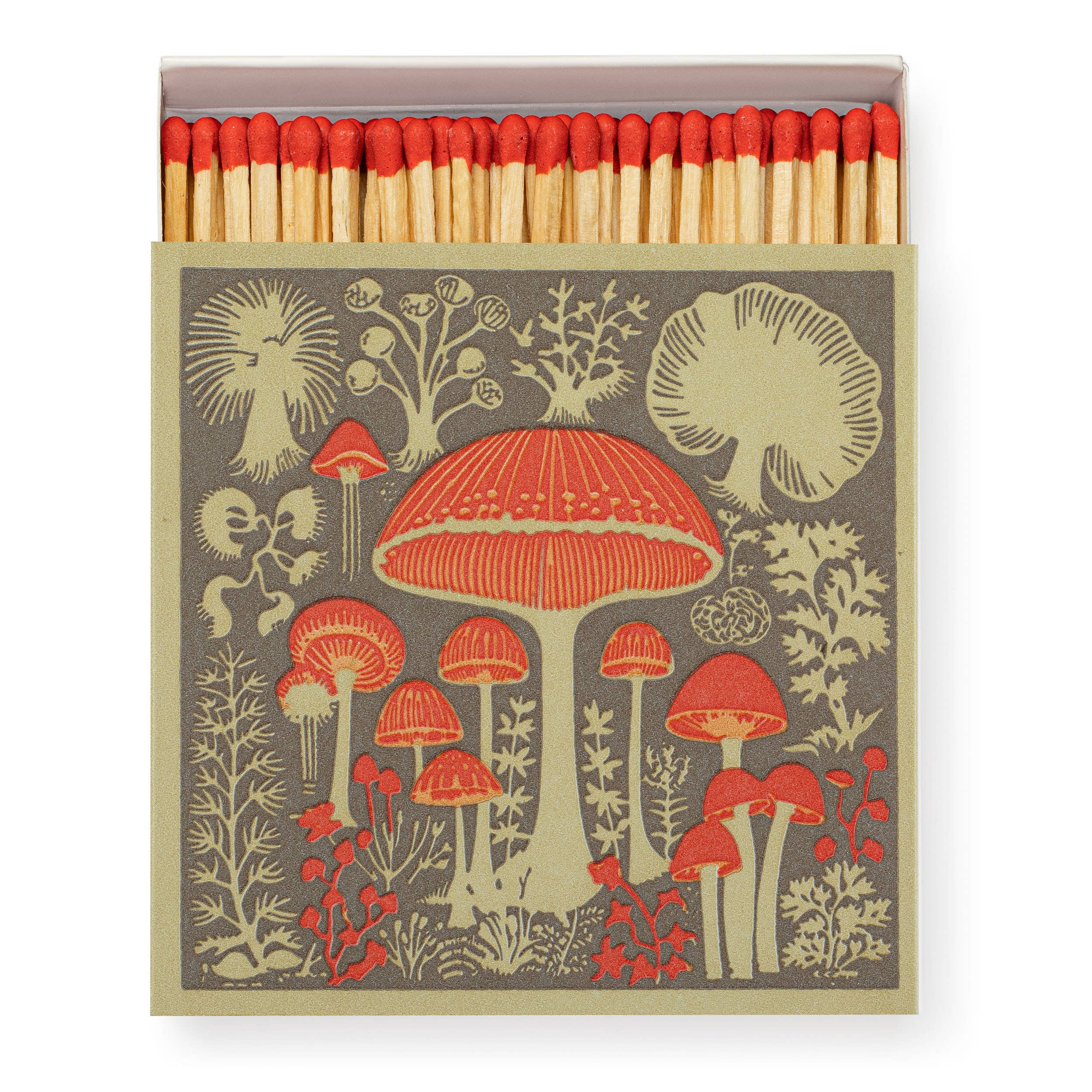 Archivist - Mushrooms | Square - Safety Matches