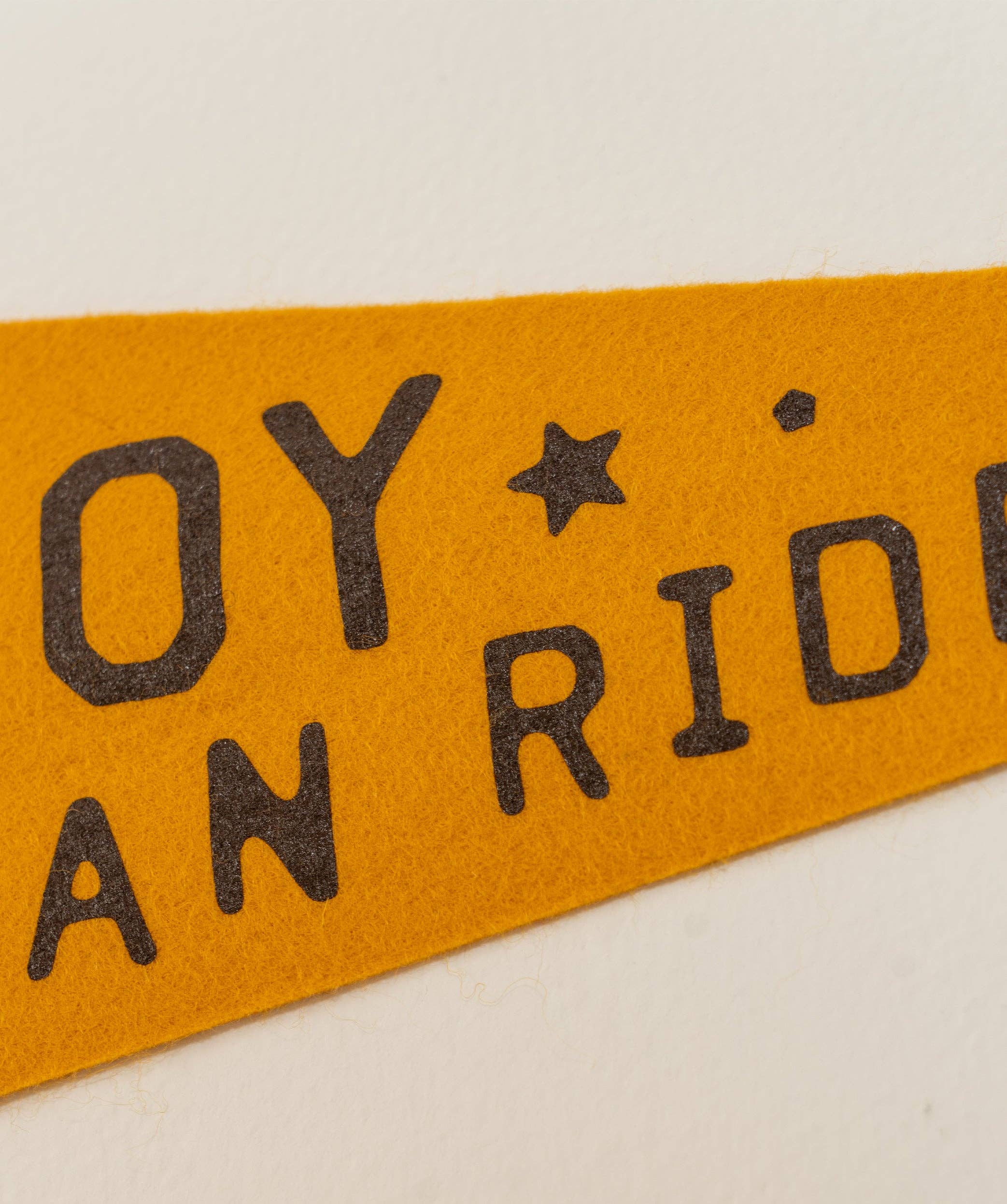 Oxford Pennant- I Ain't No Cowboy But I Can Ride Pennant • Jason Isbell x Oxford Pennant