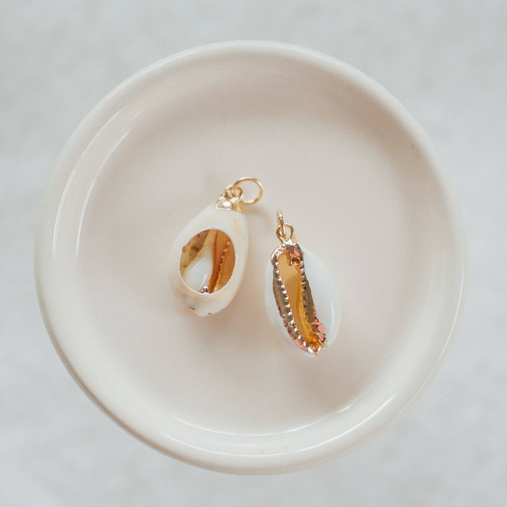 Reva Grey- Seashell Charms: Small White