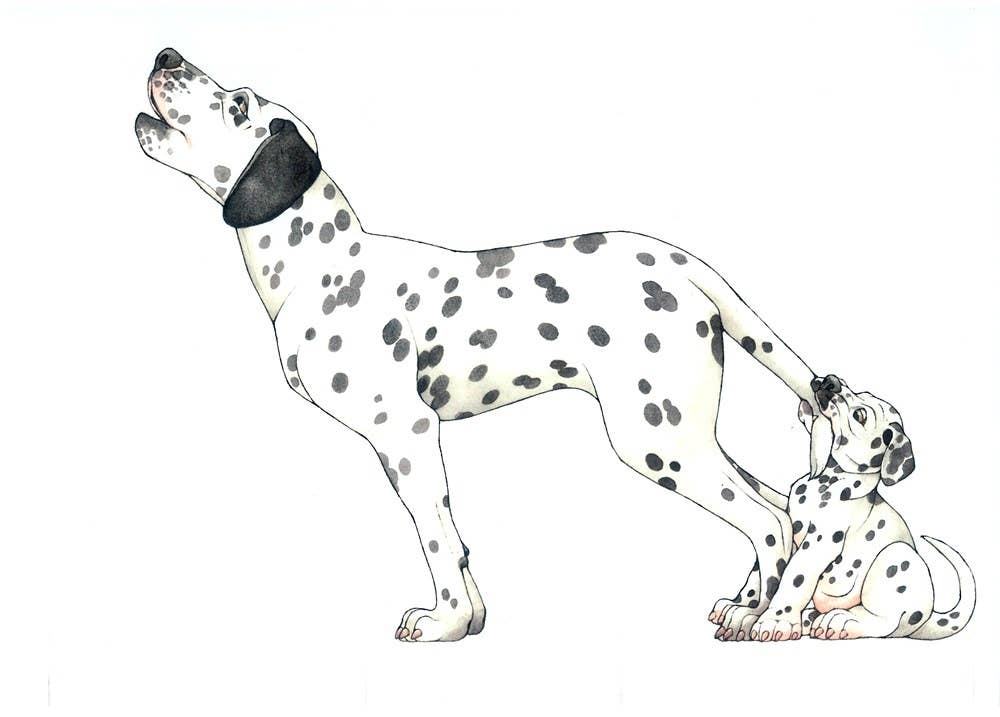 W. W. Norton- Mix-a-Mutt: Make Your Own Wacky Canine!: Board Book