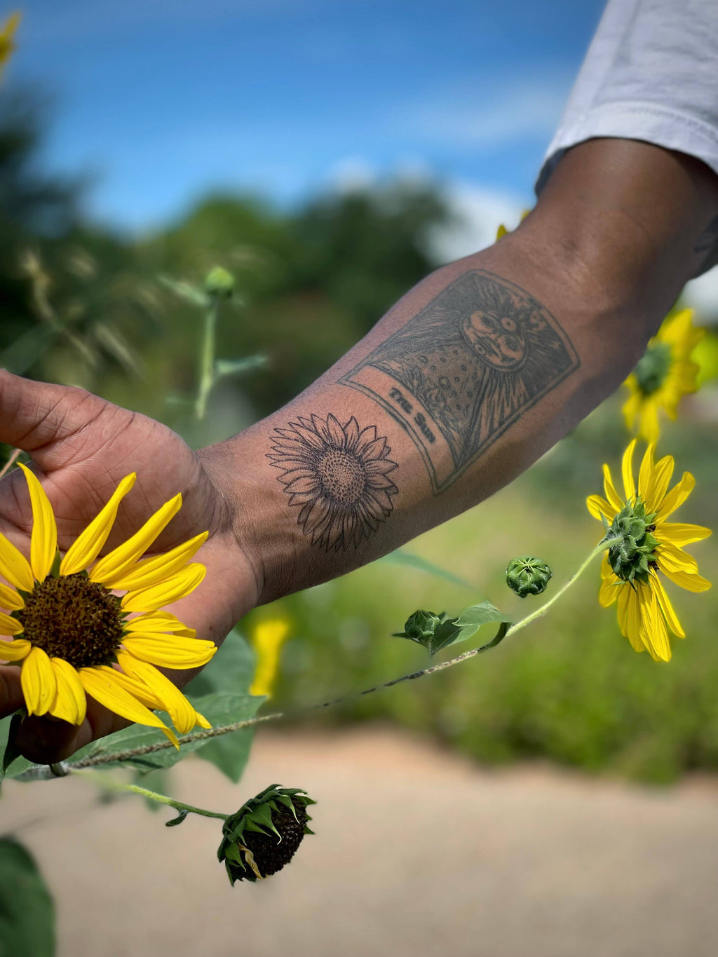NatureTats- Sunflower Temporary Tattoo