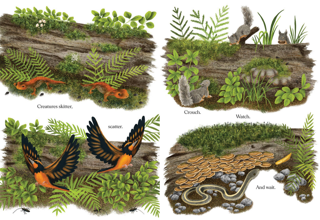 Chronicle Books- When a Tree Falls