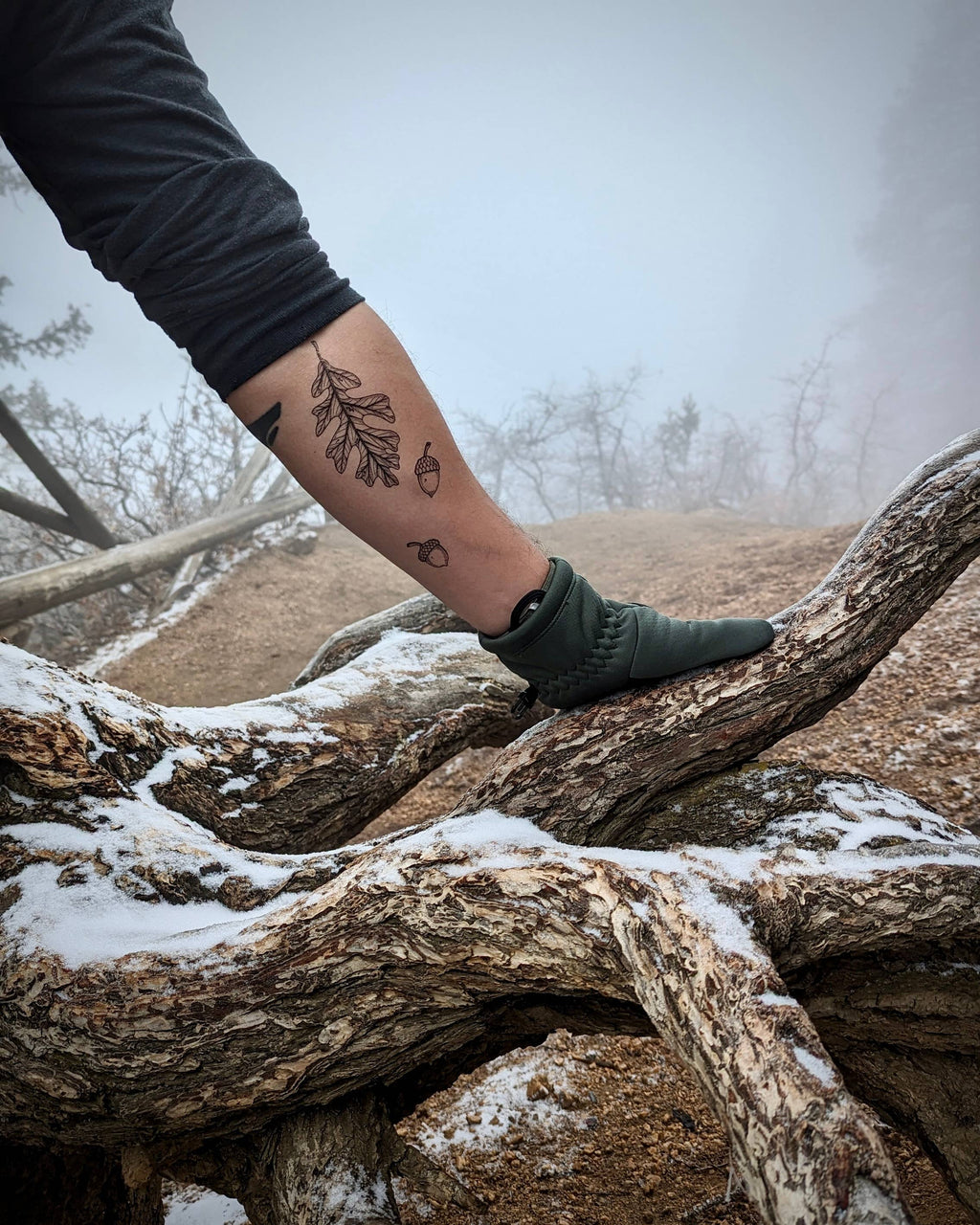 NatureTats- Acorn and Oak Leaves Temporary Tattoo