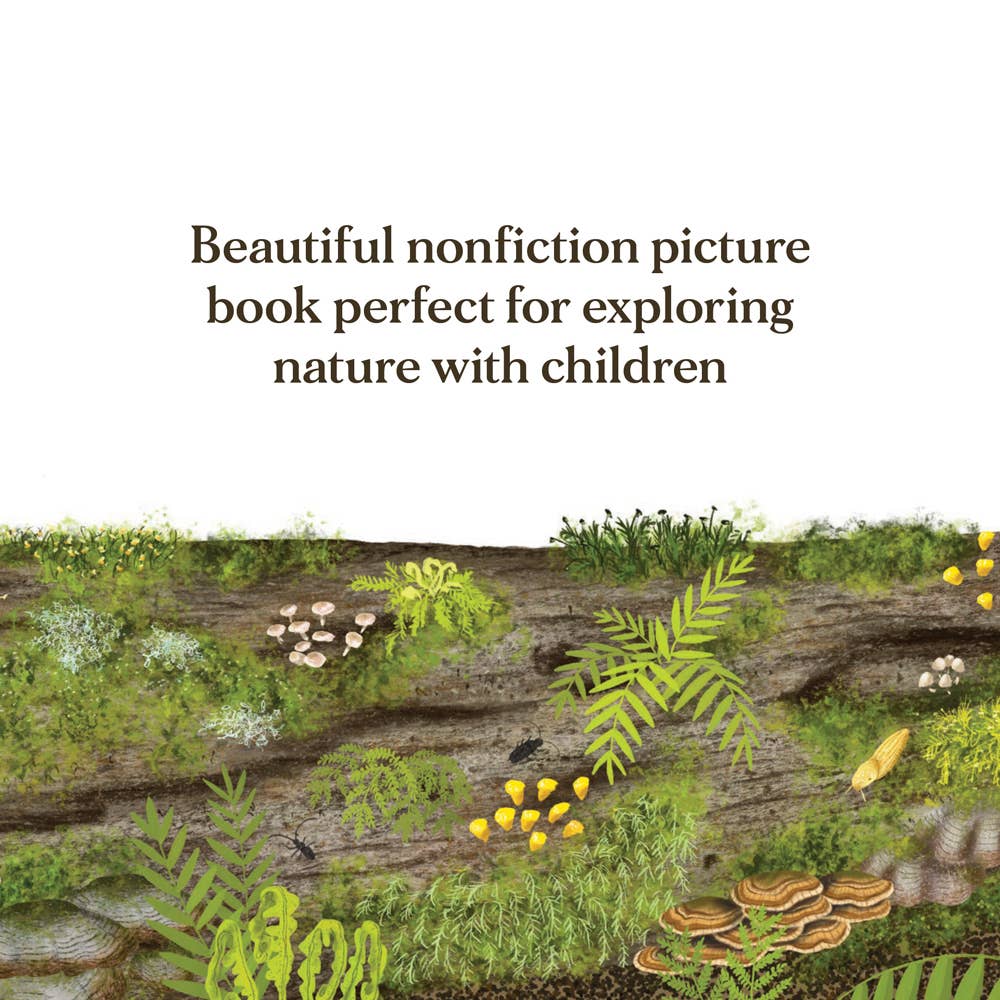 Chronicle Books- When a Tree Falls