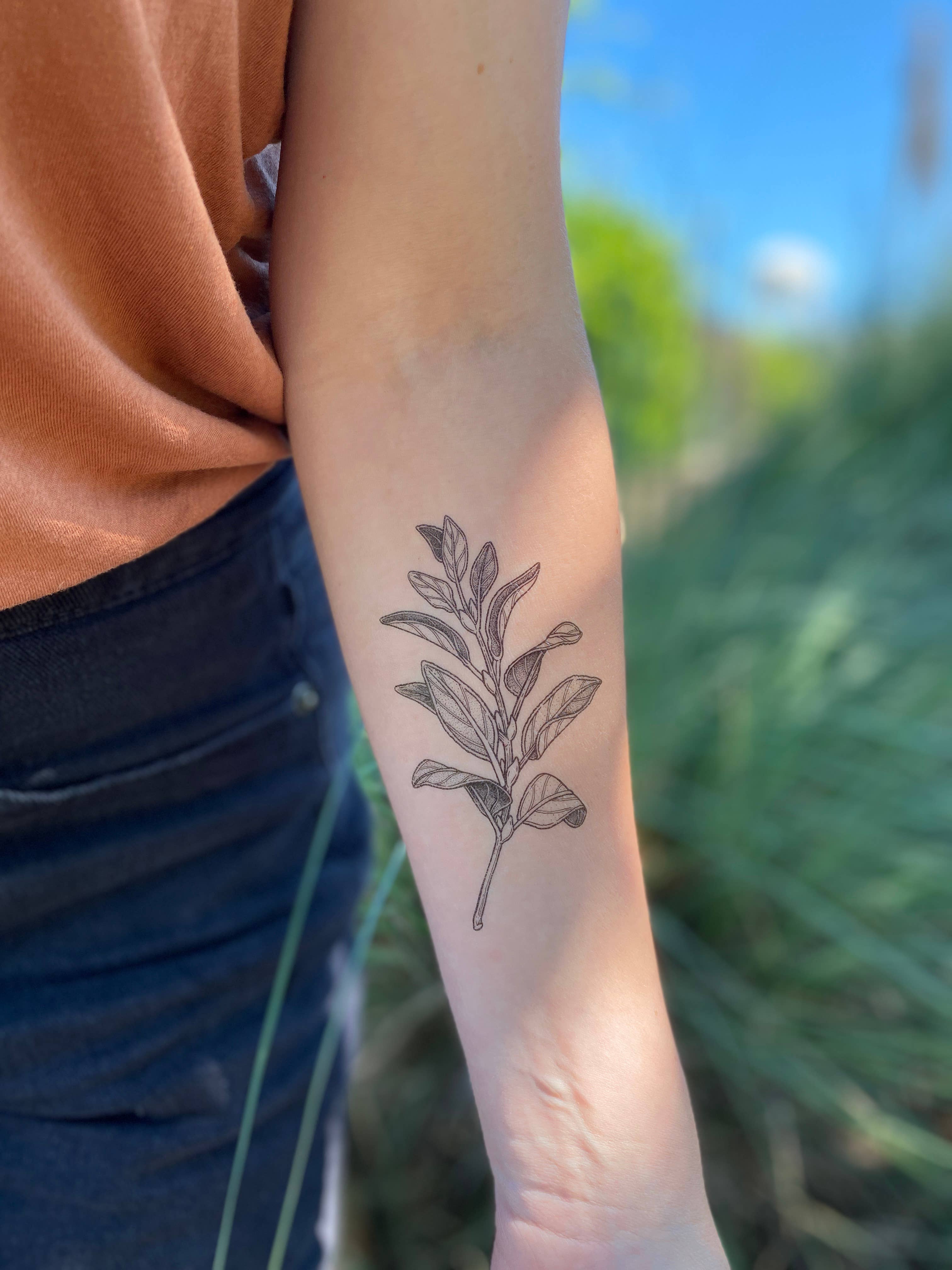 NatureTats - Sage Sprig Temporary Tattoo