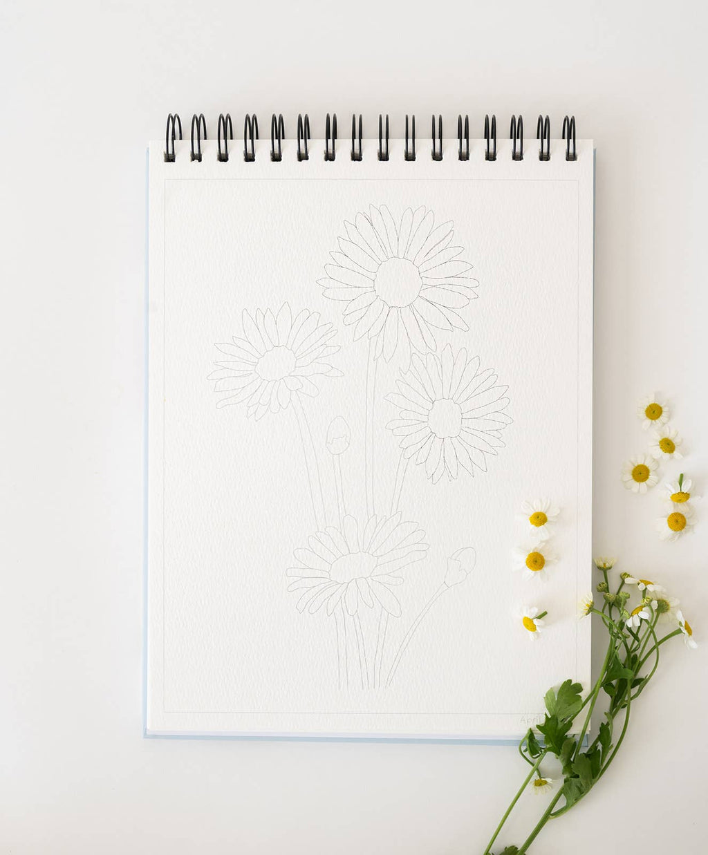 Bailey Rae Studio- Floral Watercoloring Book - Outlines with Video Tutorials