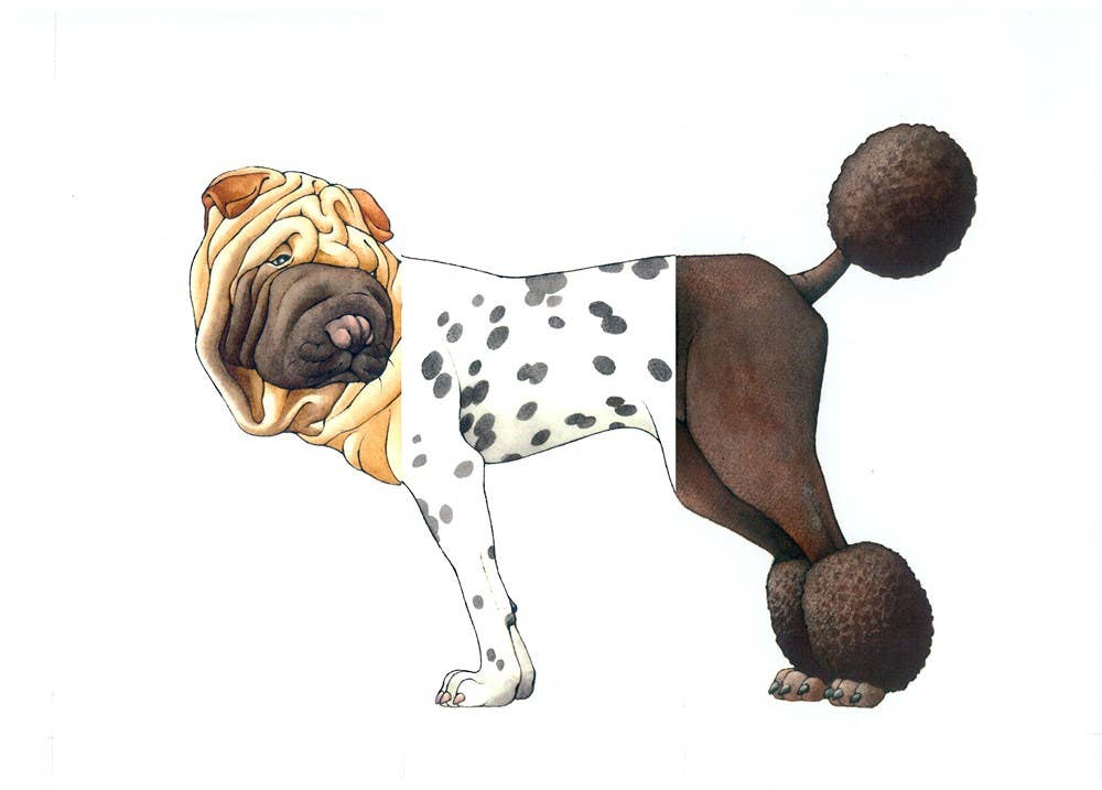 W. W. Norton- Mix-a-Mutt: Make Your Own Wacky Canine!: Board Book