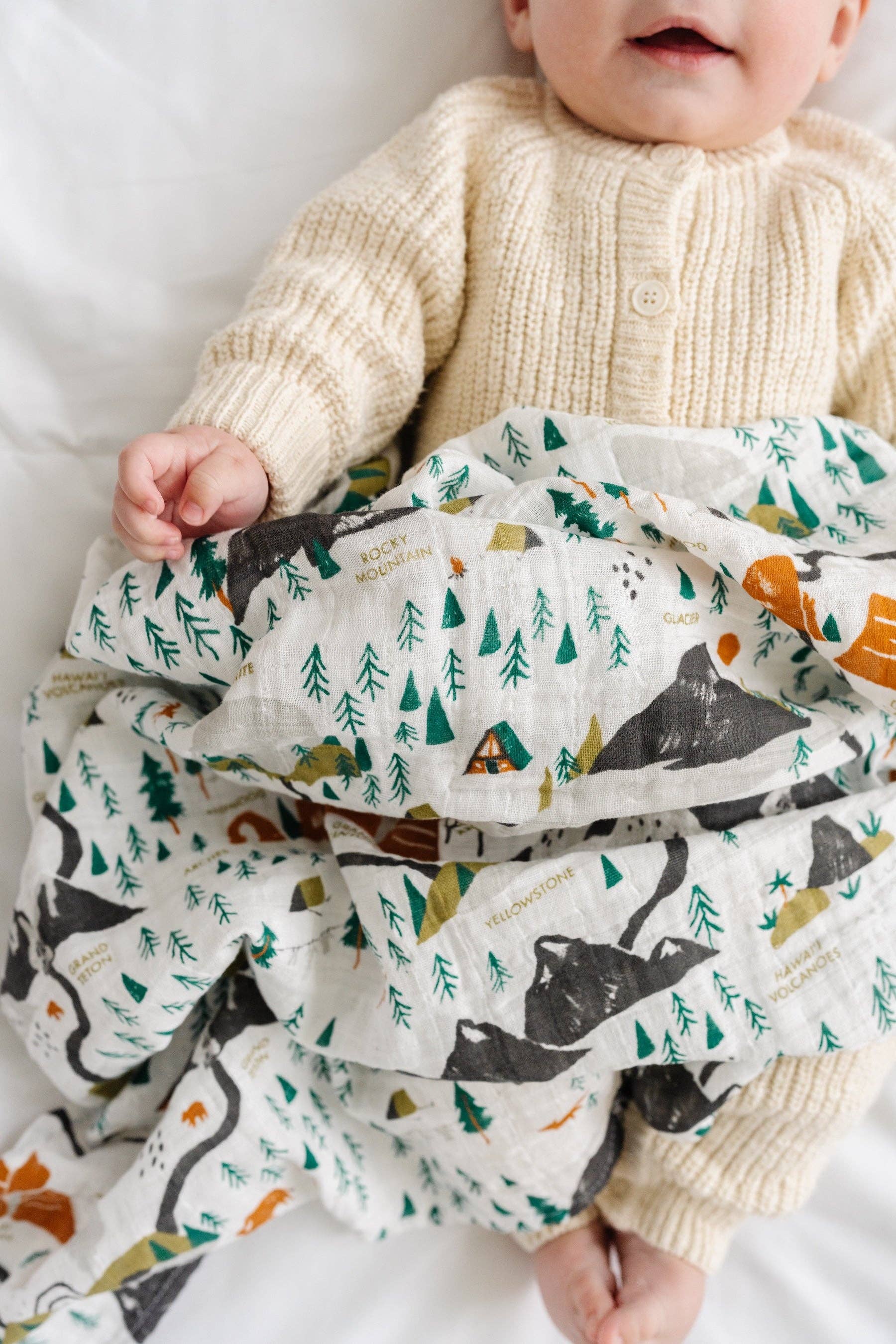 Clementine Kids- National Parks Swaddle (Mini Pattern)