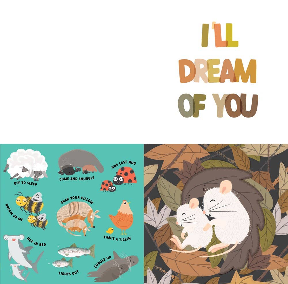 Gibbs Smith- Grab Your Pillow, Armadillo: A Silly Book of Fun Goodnights