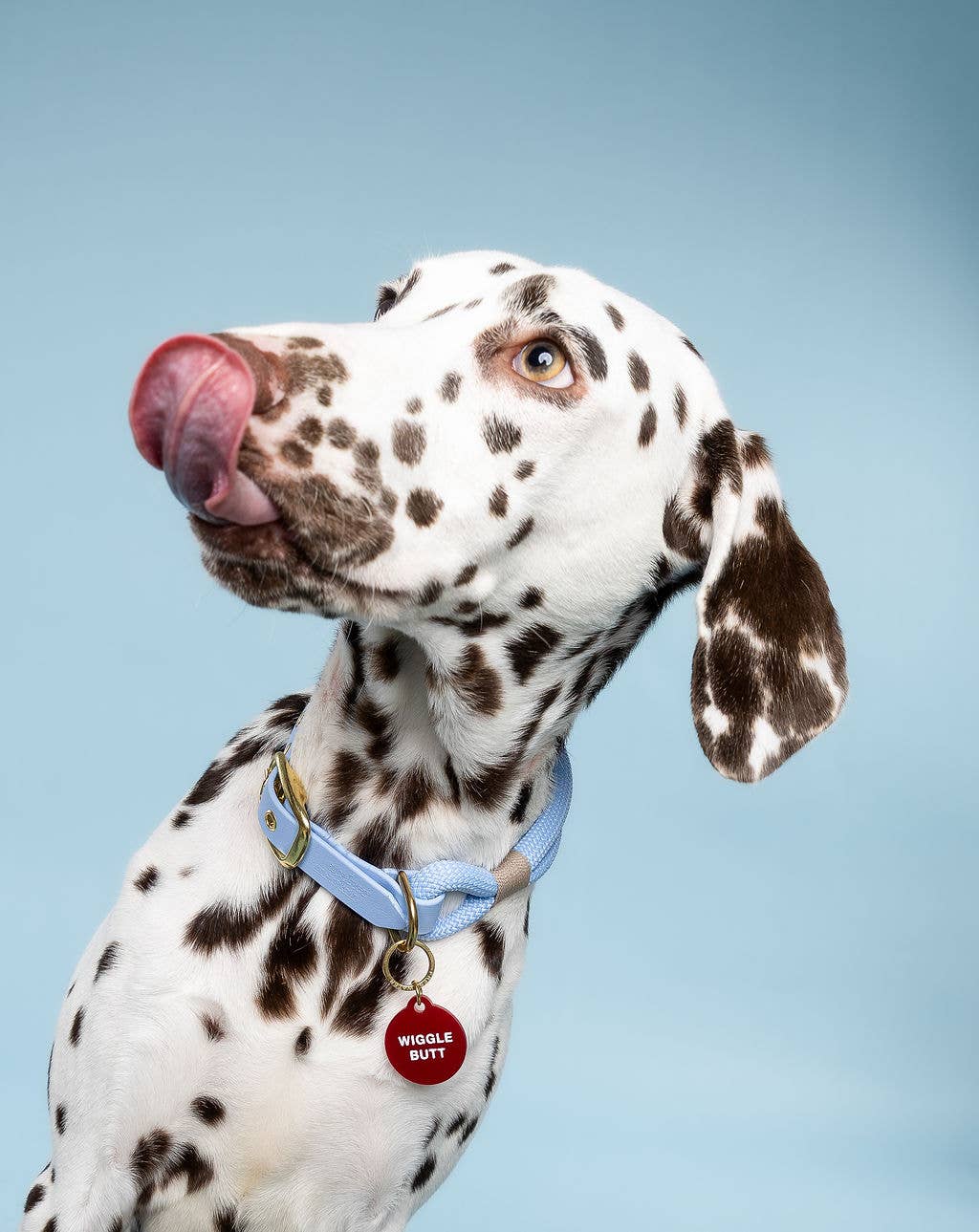 Freshwater Curated Goods- Wiggle Butt Pet Tag