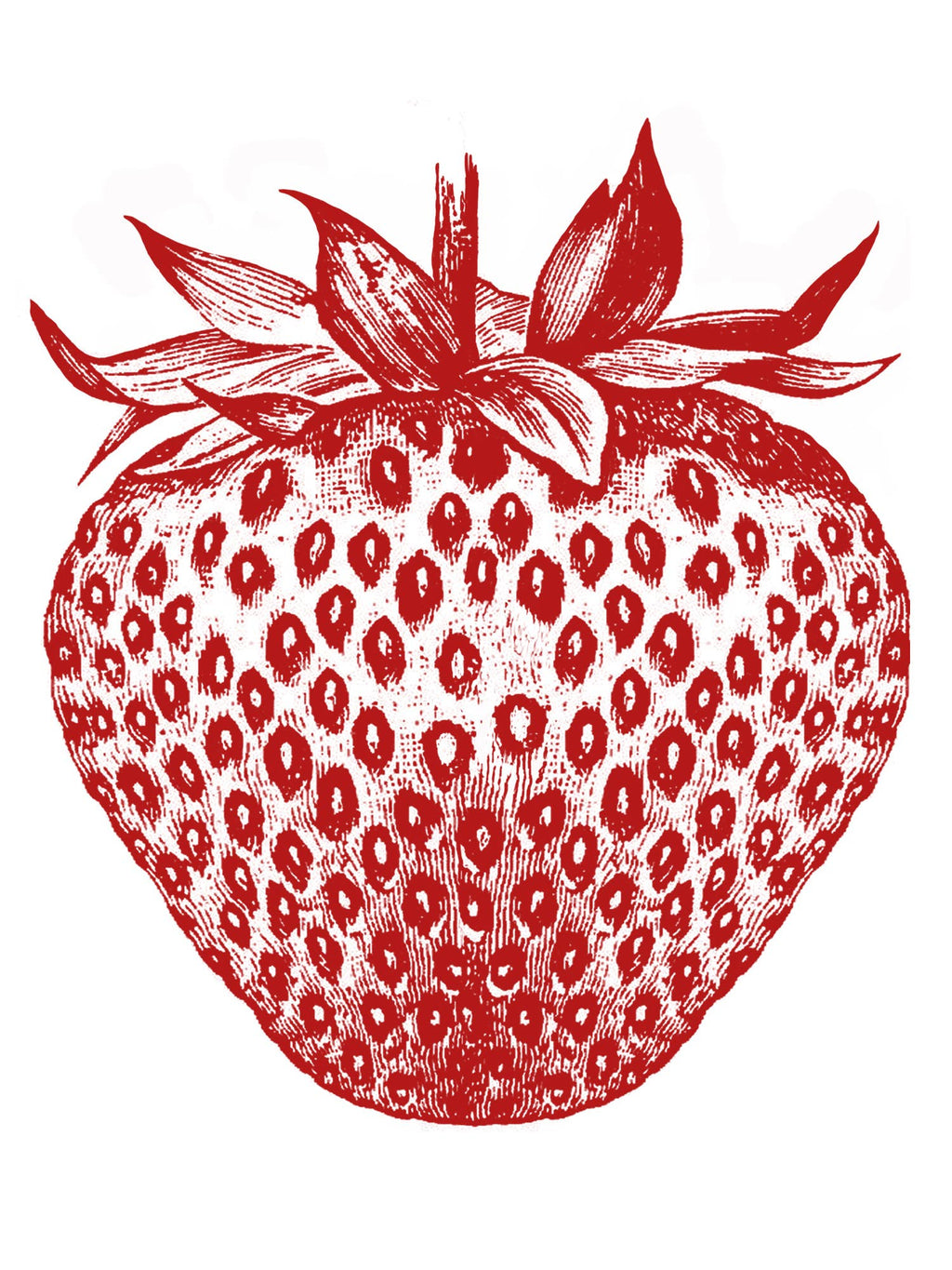 Supermaggie- Strawberry Maisie Heavyweight Muscle Tee
