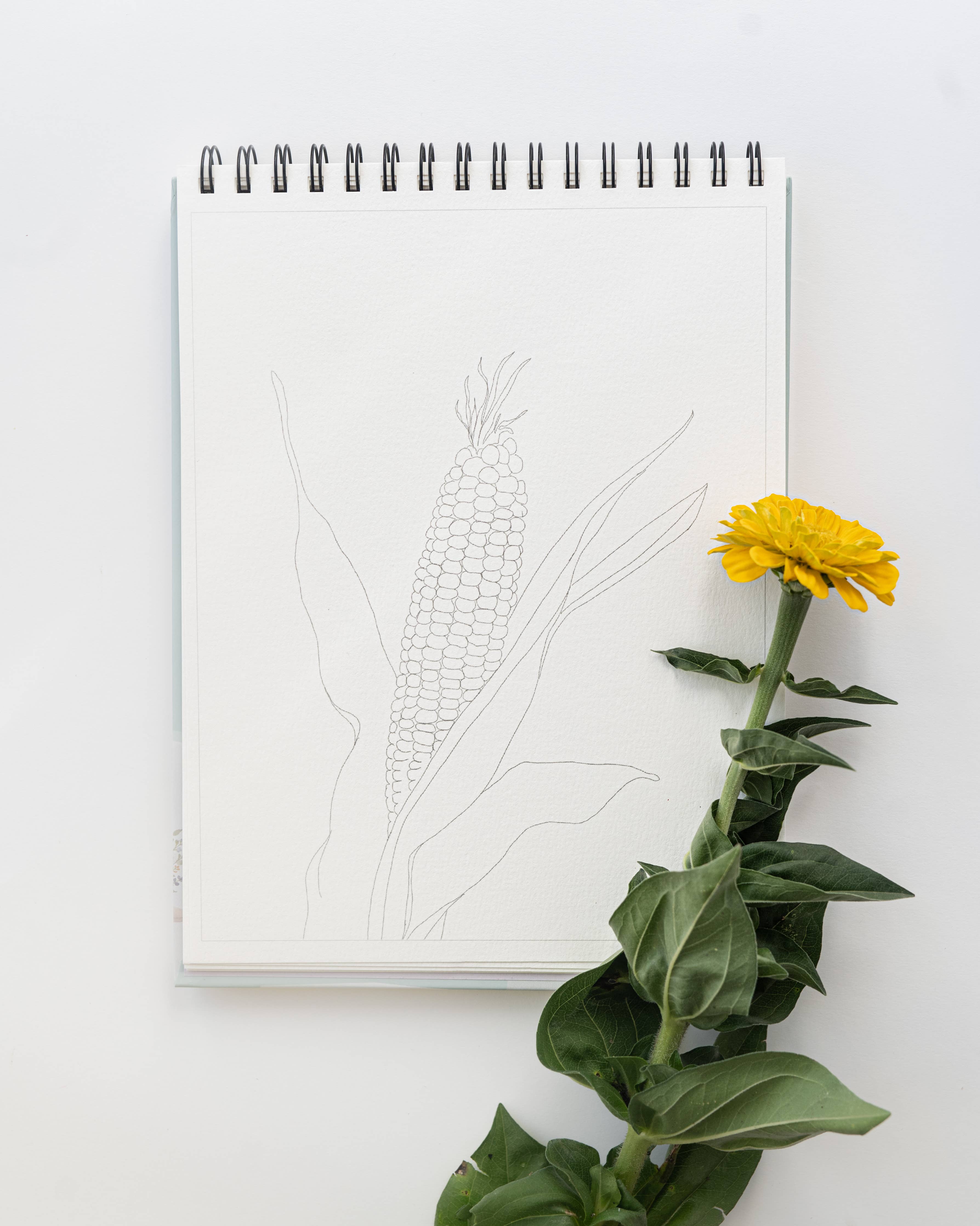 Bailey Rae Studio- Country Life Watercoloring Book