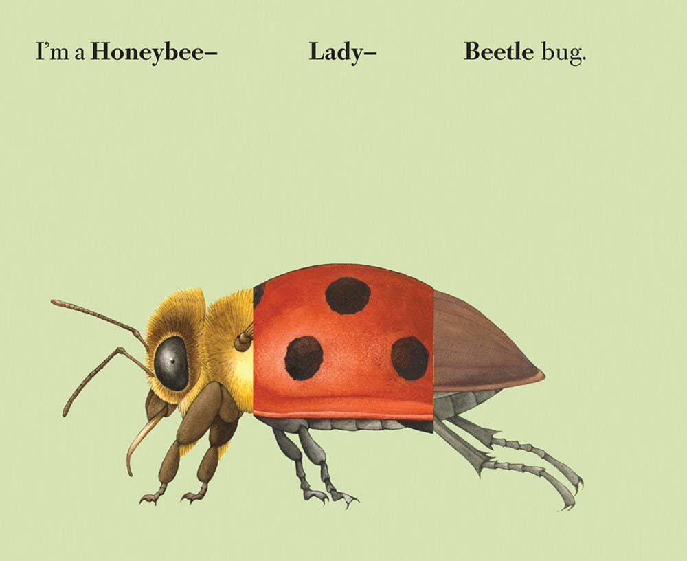 W. W. Norton- Build-A-Bug: Board Book