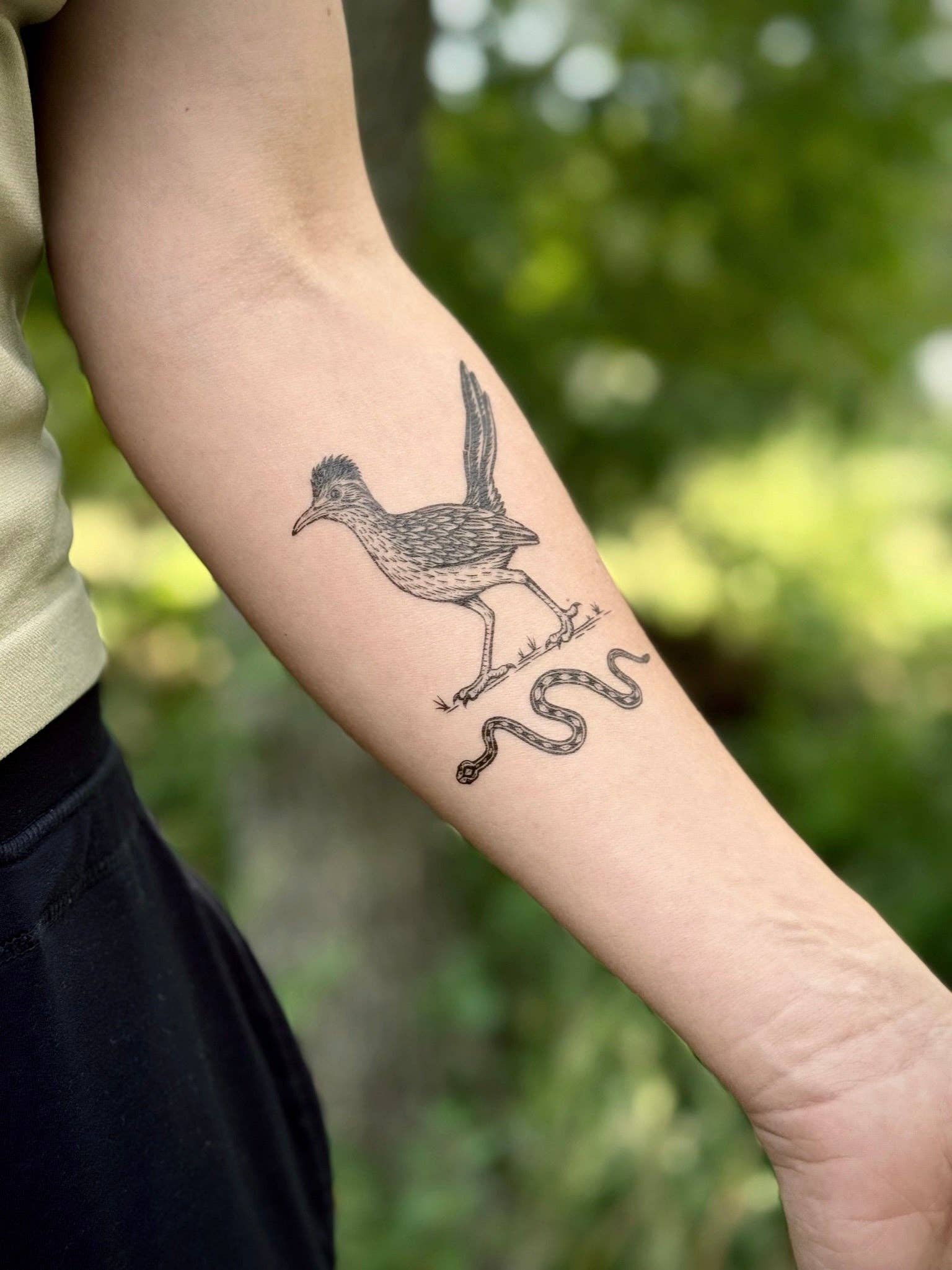 NatureTats- Roadrunner Temporary Tattoo