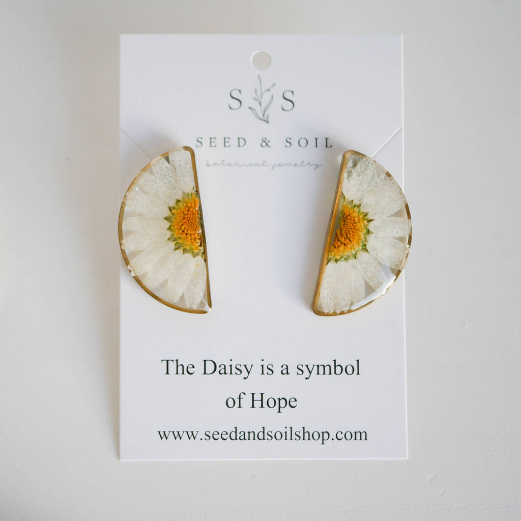 Seed & Soil- Hanging Terrarium Earrings