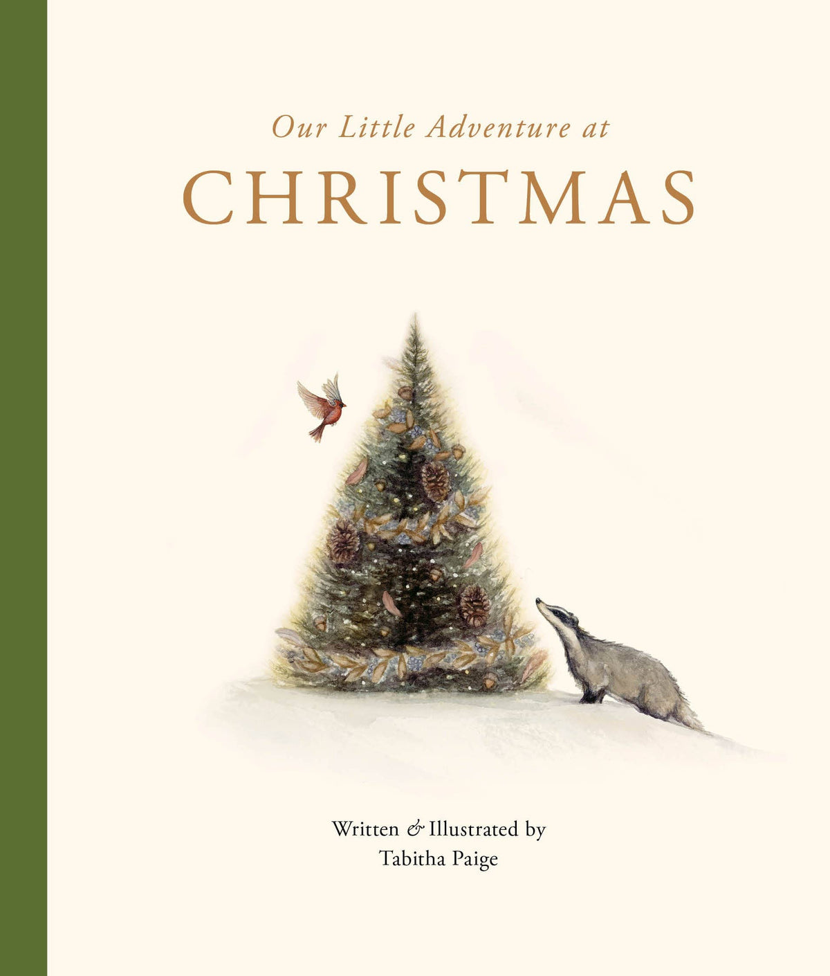 Penguin Random House- Our Little Adventure at Christmas