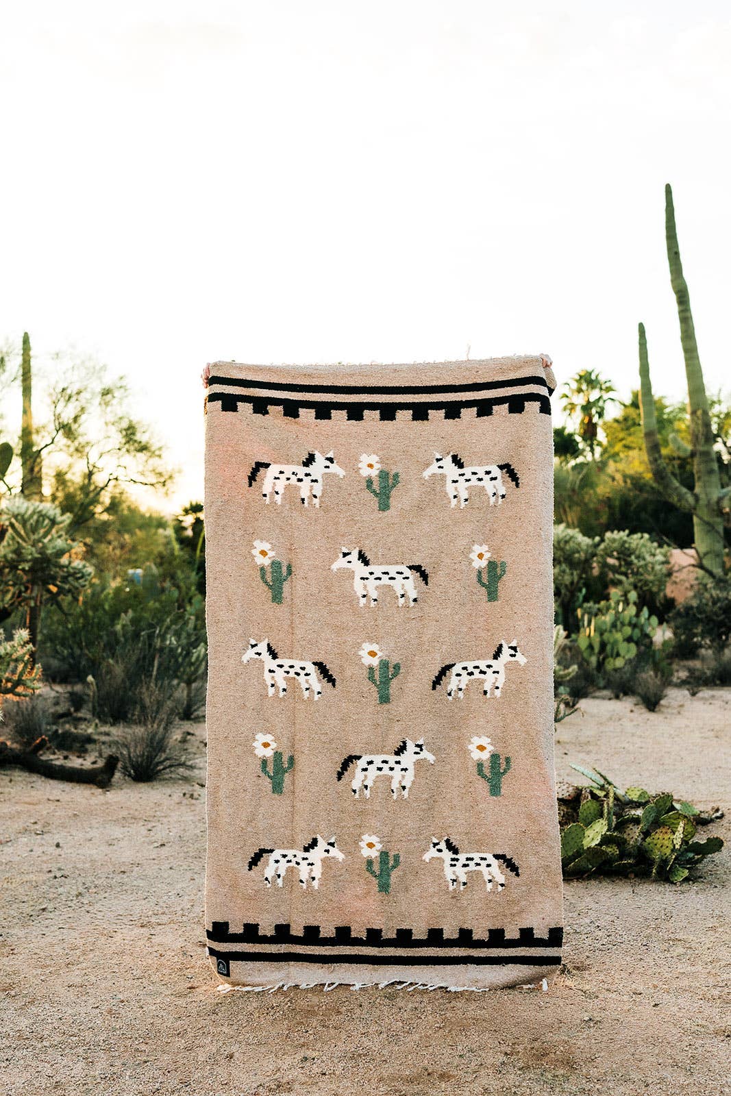 Tribe and True- Painted Desert  // Handwoven Blanket