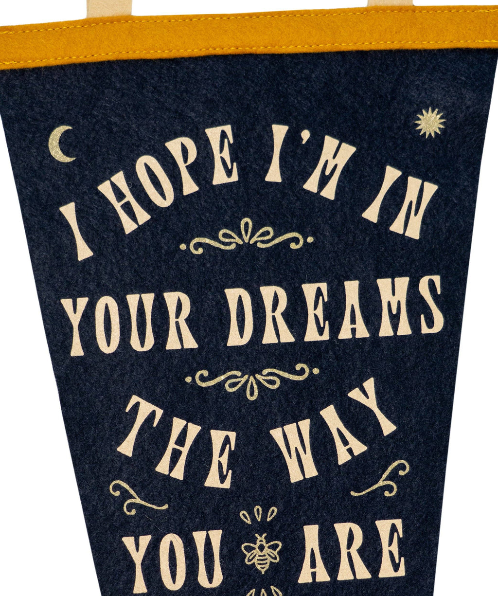 Oxford Pennant- In Dreams Fishtail Pennant • Sierra Ferrell x Oxford Pennant