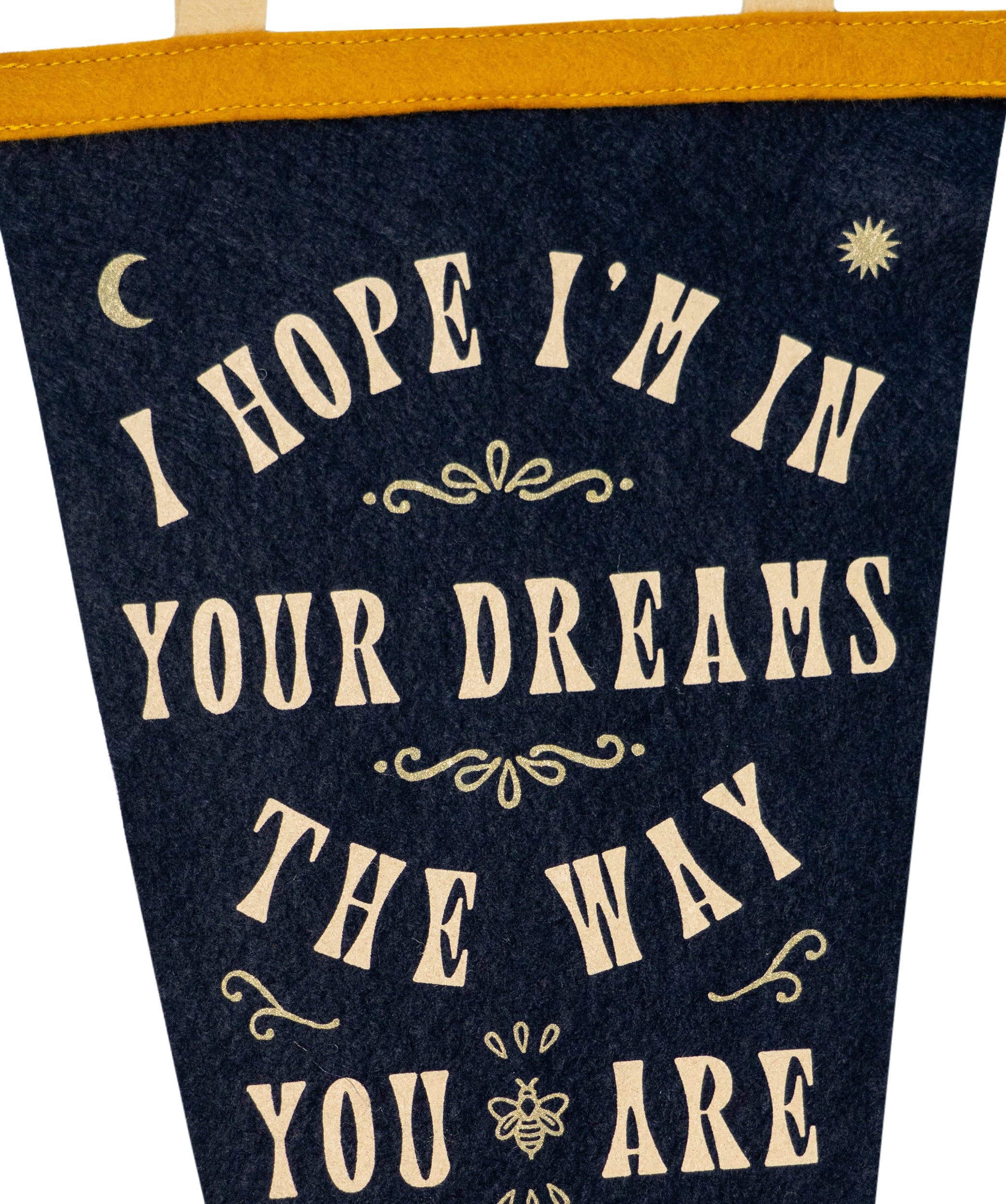 Oxford Pennant- In Dreams Fishtail Pennant • Sierra Ferrell x Oxford Pennant