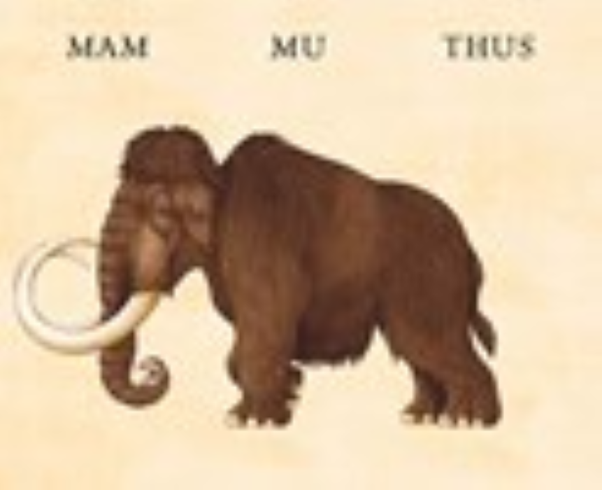 W. W. Norton- Flip-O-Storic