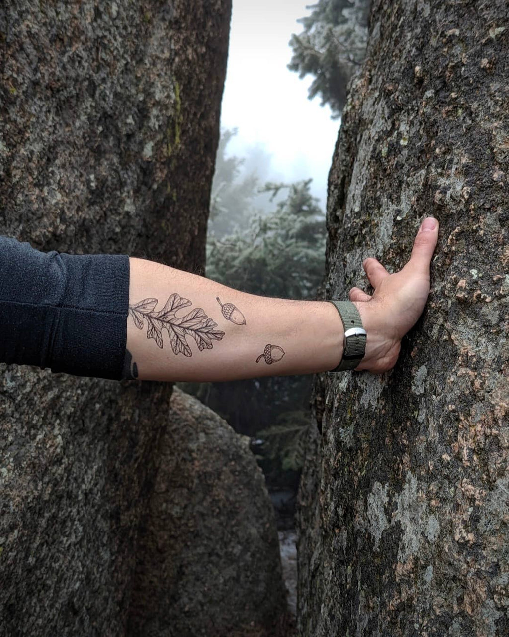 NatureTats- Acorn and Oak Leaves Temporary Tattoo