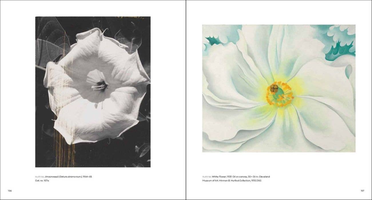 W. W. Norton- Georgia O'Keeffe, Photographer: